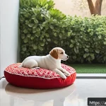 강아지 첫 만남 준비 - A cozy, sunlit corner inside a modern Arab household designed specifically for a new puppy, featurin...
