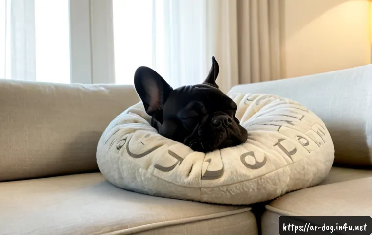 프렌치 불독의 수면 습관 - Photorealistic French Bulldog sleeping deeply in a curled position on a plush beige cushion beside a...